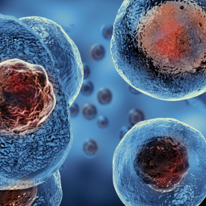 Philosophy Lecture: Explanatory Particularism in Scientific Practice